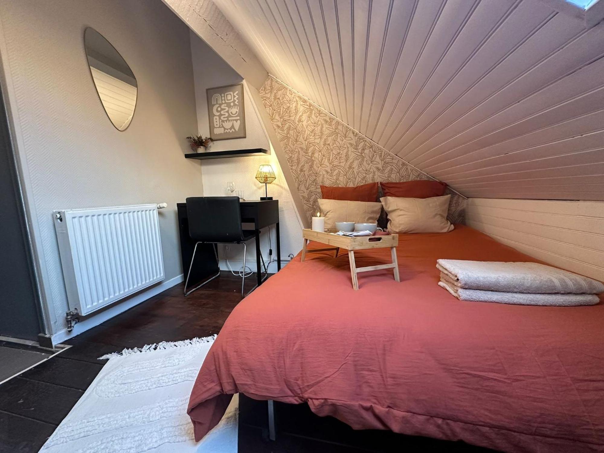 Lerelaisdodile - Conforts - Aparthotel Rijsel